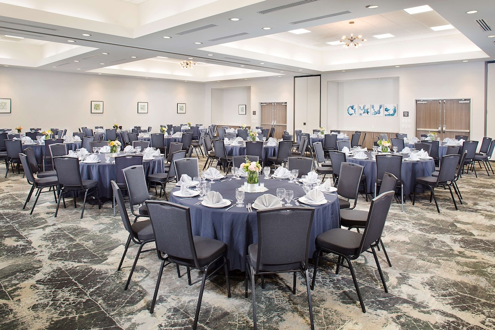 Hilton Garden Inn Dallas Arlington South - photo 21