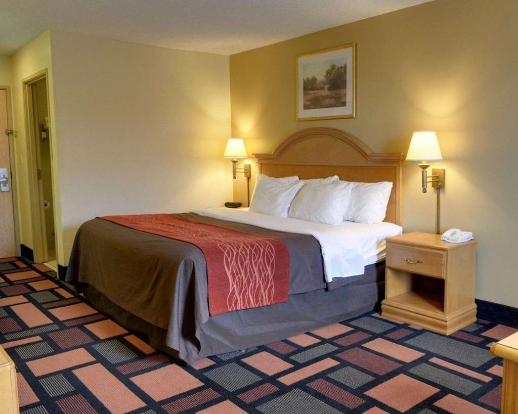 Quality Inn & Suites Malvern - photo 11