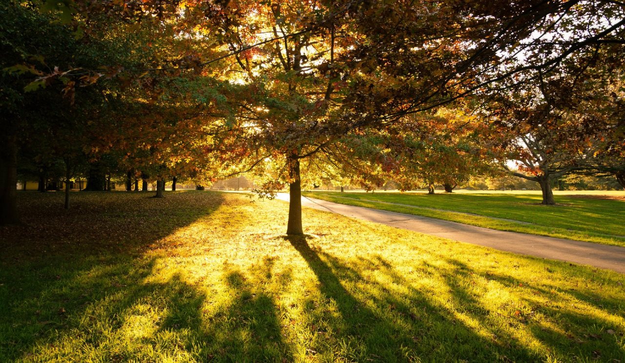Huntley Lodge — 5-Star Luxury Hotel in Christchurch, New Zealand