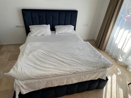 Orbi Residence Luxury
