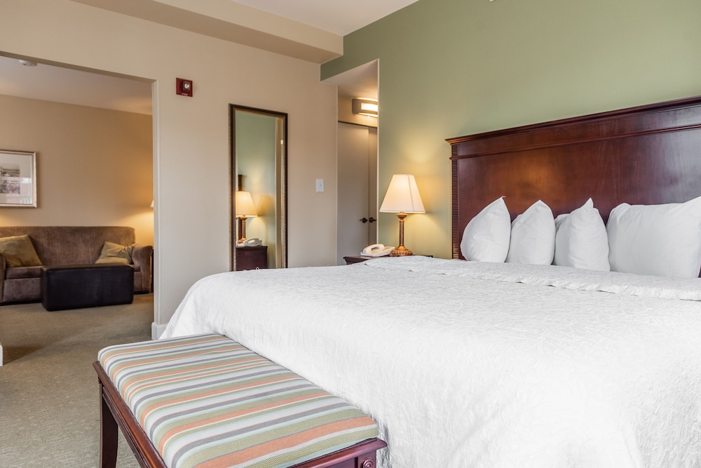 Hampton Inn & Suites Birmingham Downtown Tutwiler - photo 8