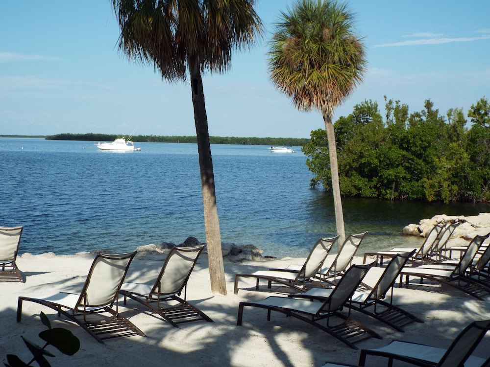 Hampton Inn Key Largo Manatee Bay - photo 46