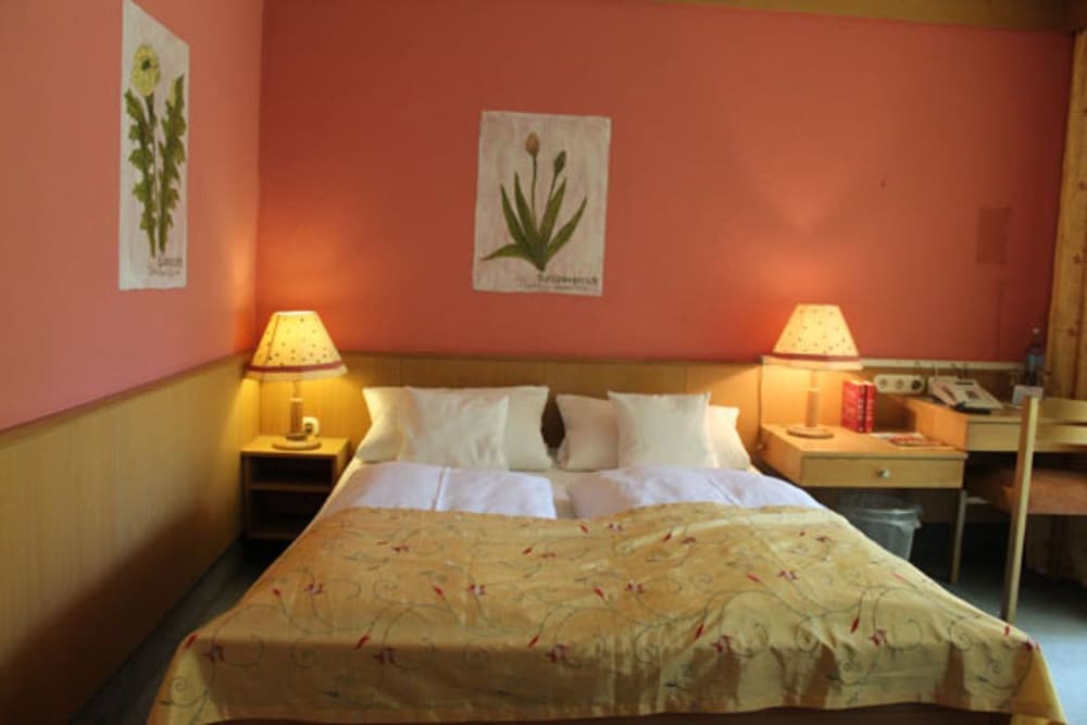 Wagners Hotel Schönblick — Fichtelberg — photo 4