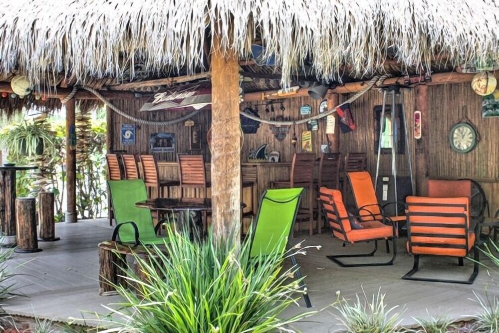 Palm Terrace - photo 49