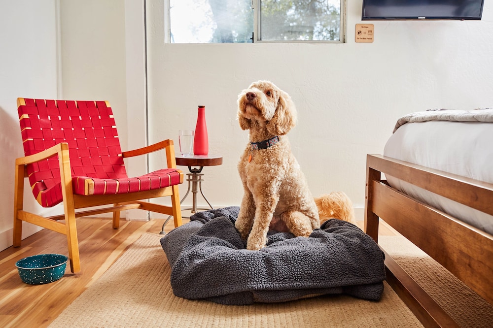 Mine and Farm The Inn at Guerneville CA - photo 3