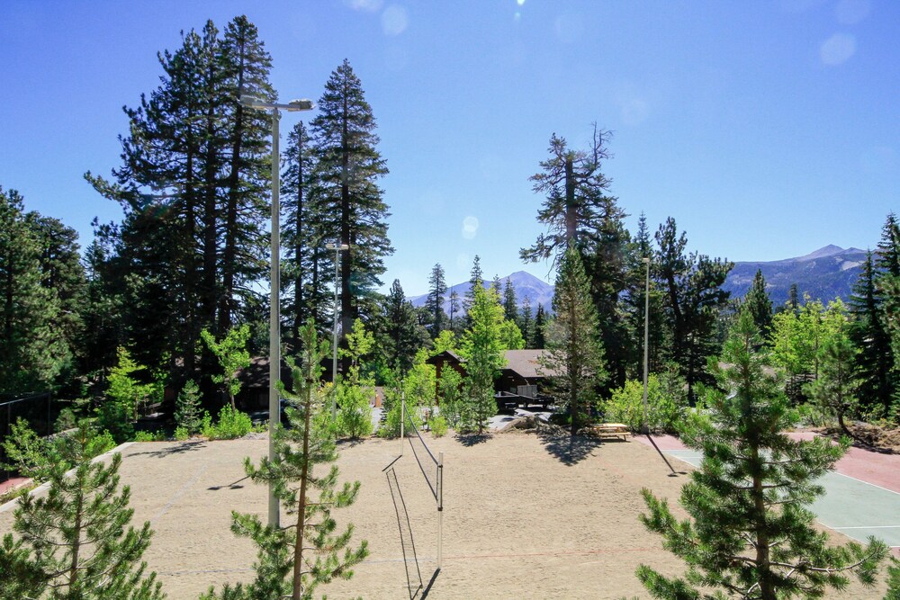 Mammoth Ski & Racquet Club #64 Pet - photo 13
