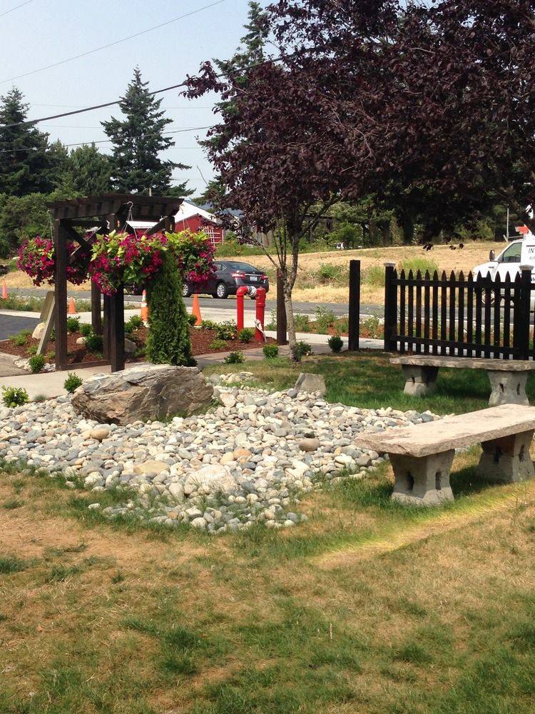 Orca Inn - photo 14