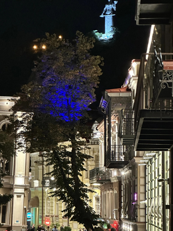 Apartment Gudiashvili square