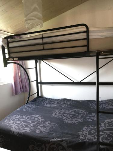 Tranquilo cabanas — Carmarthen — photo 4