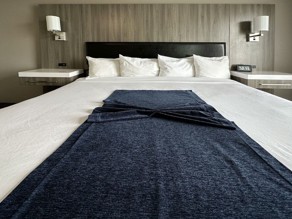 BayVue Hotel Resort and Suites - photo 28