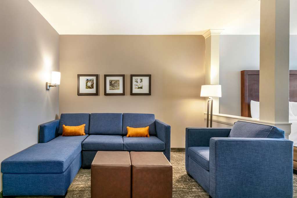 Comfort Suites North Tupelo - photo 21