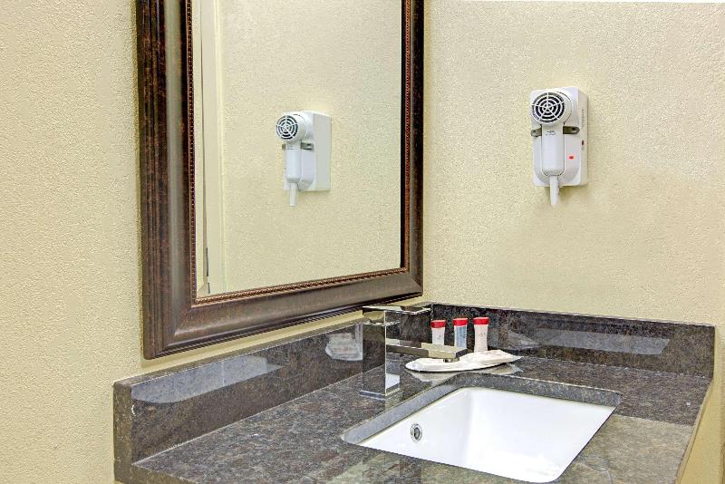 Ramada Plaza Charlotte Airport Hotel and Conference Center - photo 19
