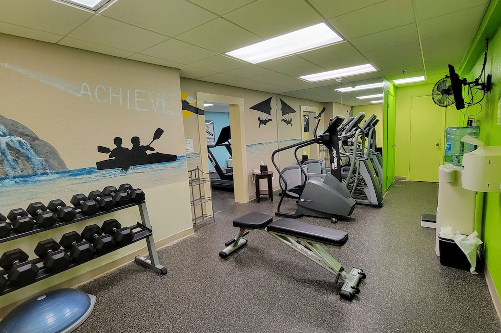 Holiday Inn St Petersburg N Clearwater by IHG - photo 27