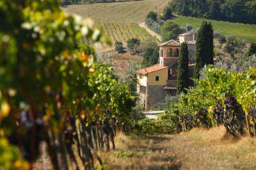 Poggio Rozzi — Tavarnelle Val Di Pesa
