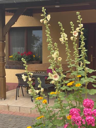 Agroturystyka Pod Podkową in Mragowo, Poland