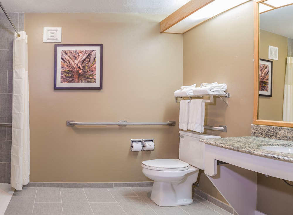 Gray Wolf Inn & Suites - photo 19