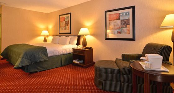 Clarion Atlanta Airport South - photo 9