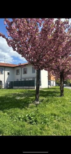 Villa&Colombo — 4-Star Luxury Hotel in Rho, Italy