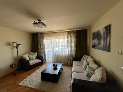 Apartament in Lugoj Gabriela — 4-Star Luxury Hotel in Lugoj, Romania