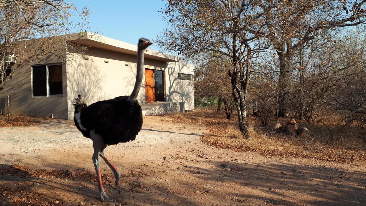 Birdsong Kruger - last minute hotel in Unknown City