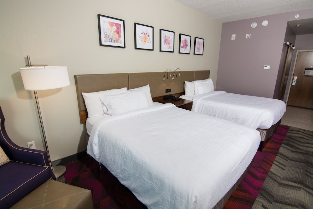 Hilton Garden Inn Tampa Suncoast Parkway - photo 12