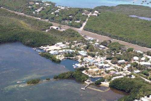 Snappers Key Largo - photo 12