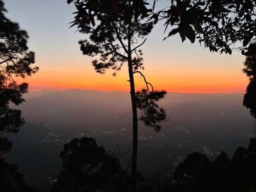 Panchwati farms — Almora — photo 3