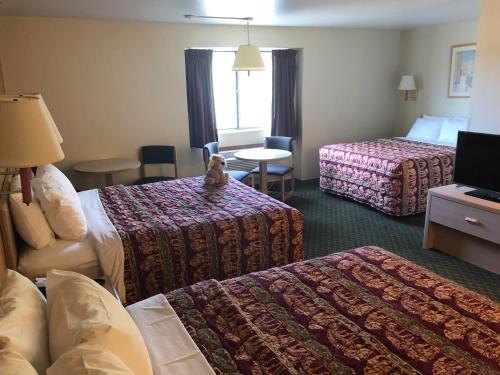 Kings Inn Cody - photo 31