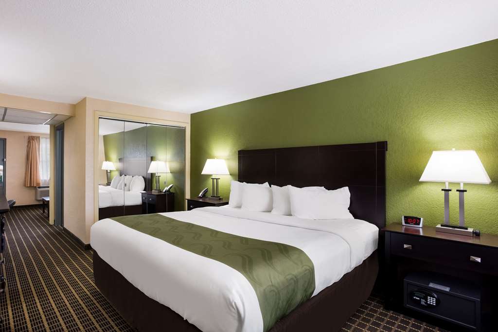 Quality Inn & Suites Big Rapids near University - photo 23