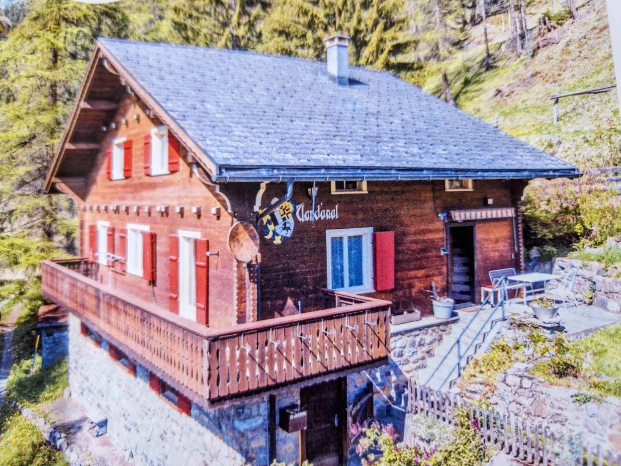 Ferienhaus Vardaval Schmitten GR — hotel in Schmitten