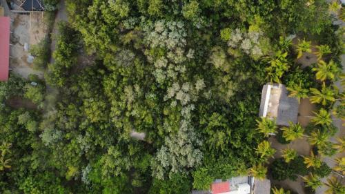 Posada Corazon Mazunte in Puerto Escondido, Mexico