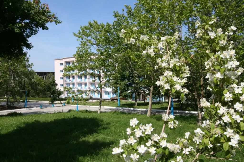 Teshebs Mini Hotel in Arkhipo-Osipovka, Russia