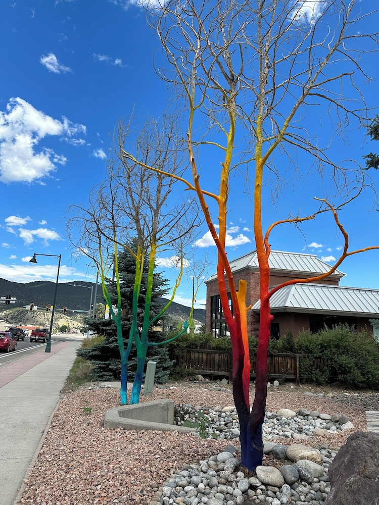 Browns Canyon Inn - photo 71