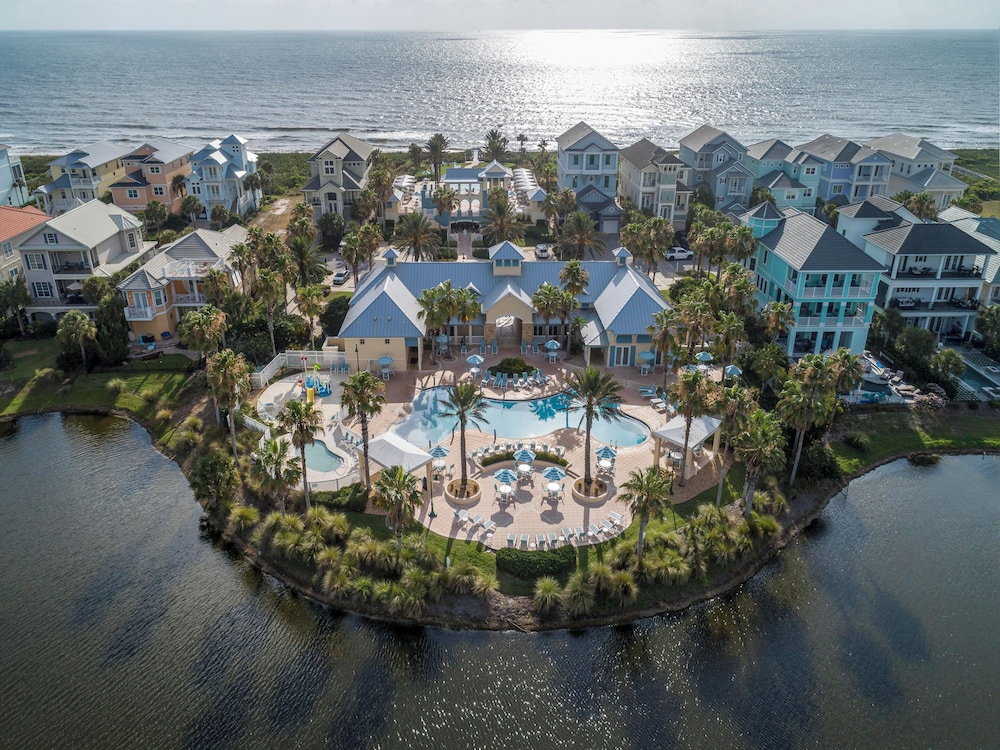 Three Palms - photo 14