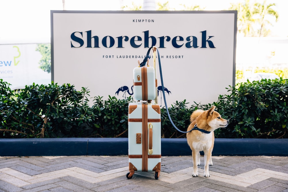 Kimpton Shorebreak Fort Lauderdale Beach Resort by IHG - photo 45