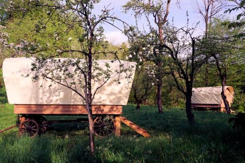 Glamping Tlaka in Gornji Grad, Slovenia