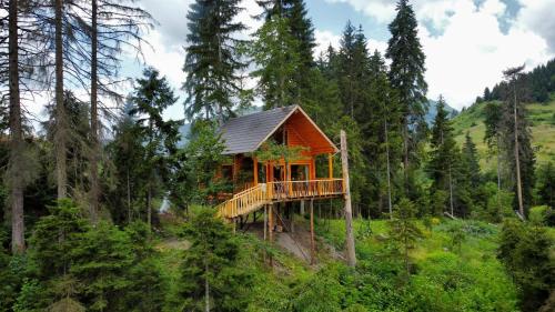 Cottage farvana