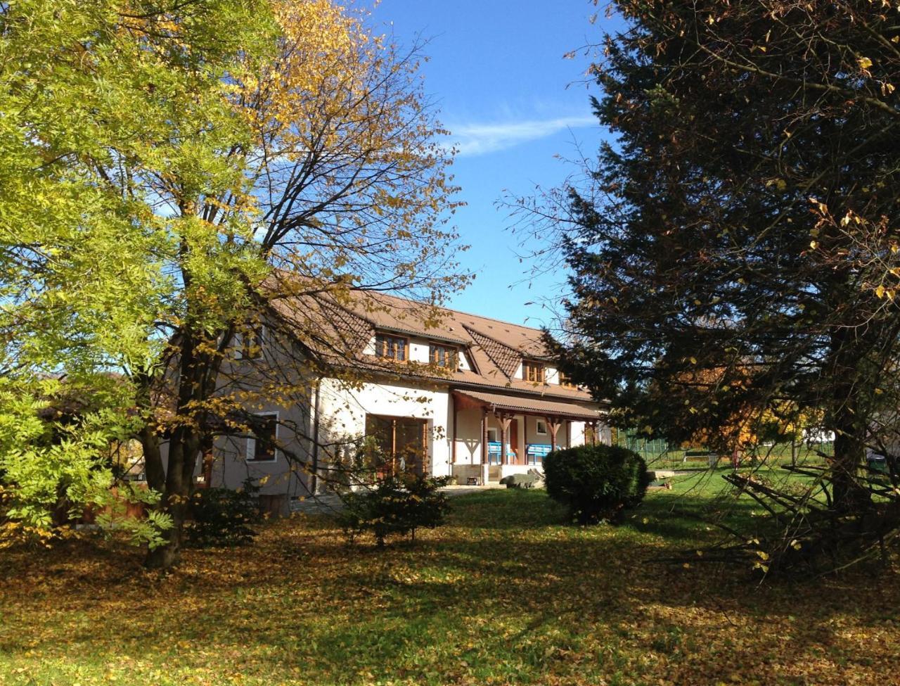 Mamut — hotel in Hostka