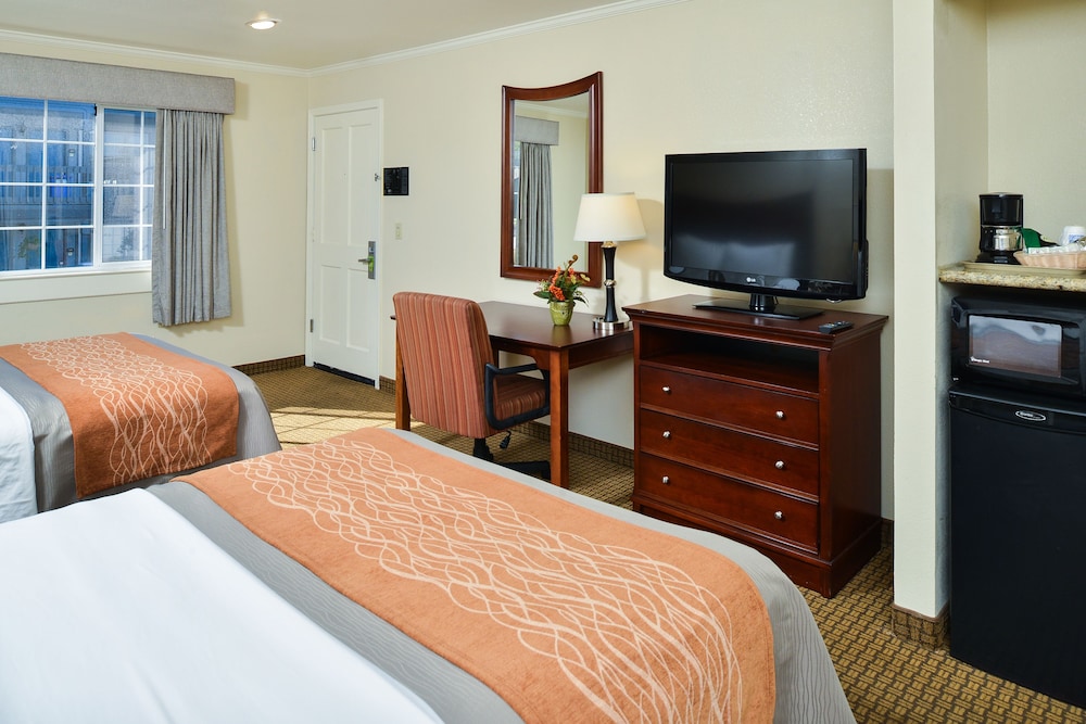 Blu Pacific Hotel - photo 15