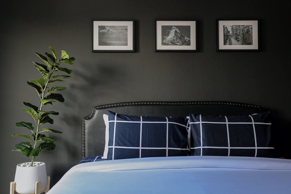 Black Turtle in Ban Chalong, Thailand