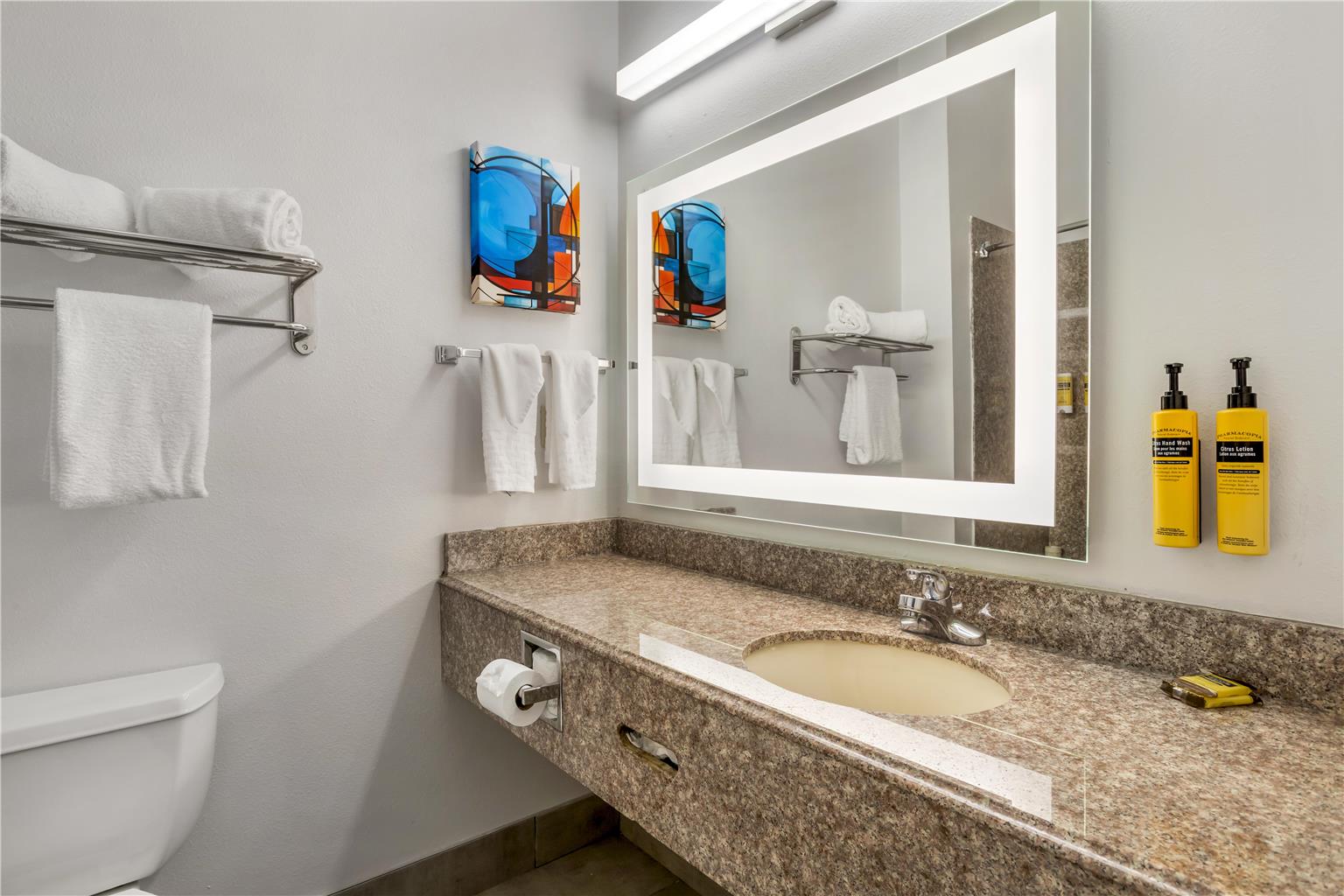 Best Western Plus New Caney Inn & Suites - photo 11
