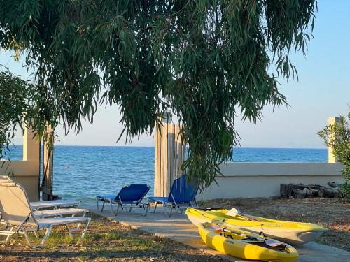 Roseal Beach Front - carbon neutral hotel in Baga