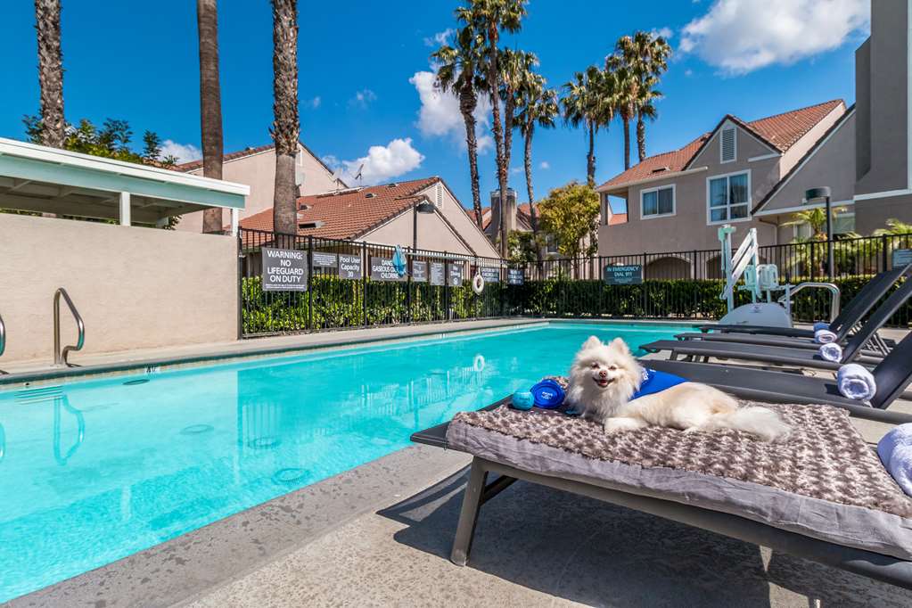 Sonesta ES Suites Huntington Beach Fountain Valley - photo 27
