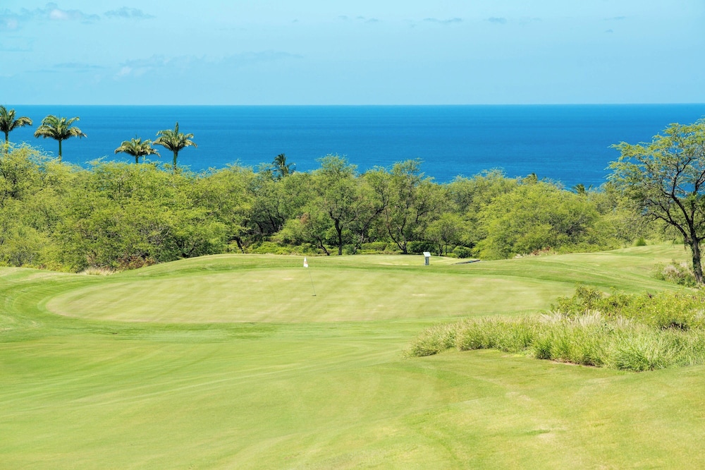 The Westin Hapuna Beach Resort - photo 81