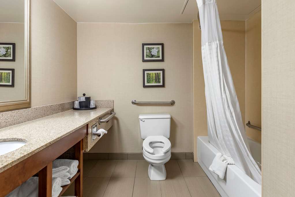 Comfort Inn Lansing West - photo 20