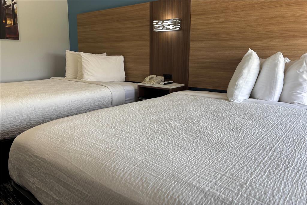 Baymont by Wyndham Jacksonville - photo 10
