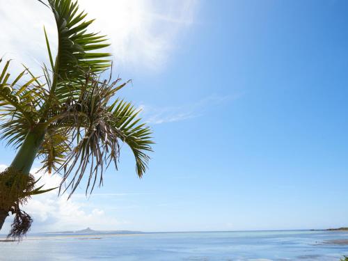 Adan Resort 風 Fu in Okinawa, Japan