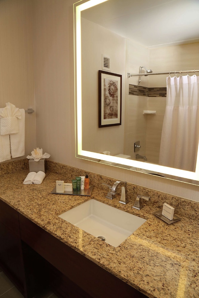 Hilton Kansas City Airport - photo 26