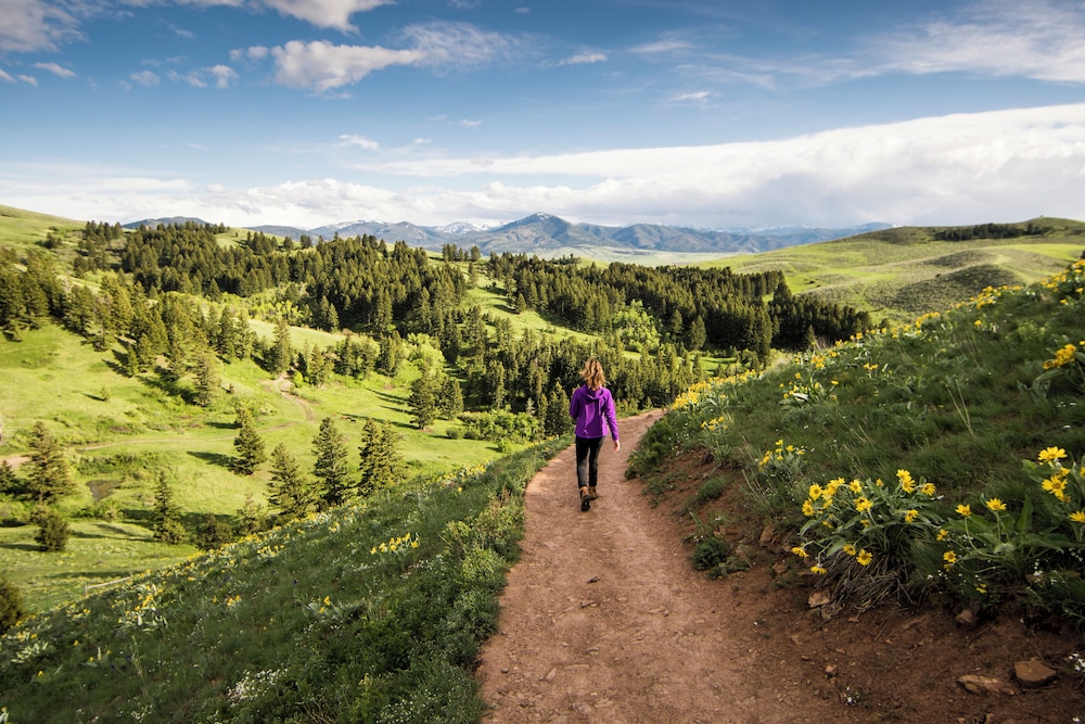 Even Hotel Bozeman Yellowstone Intl Arpt By IHG - photo 61