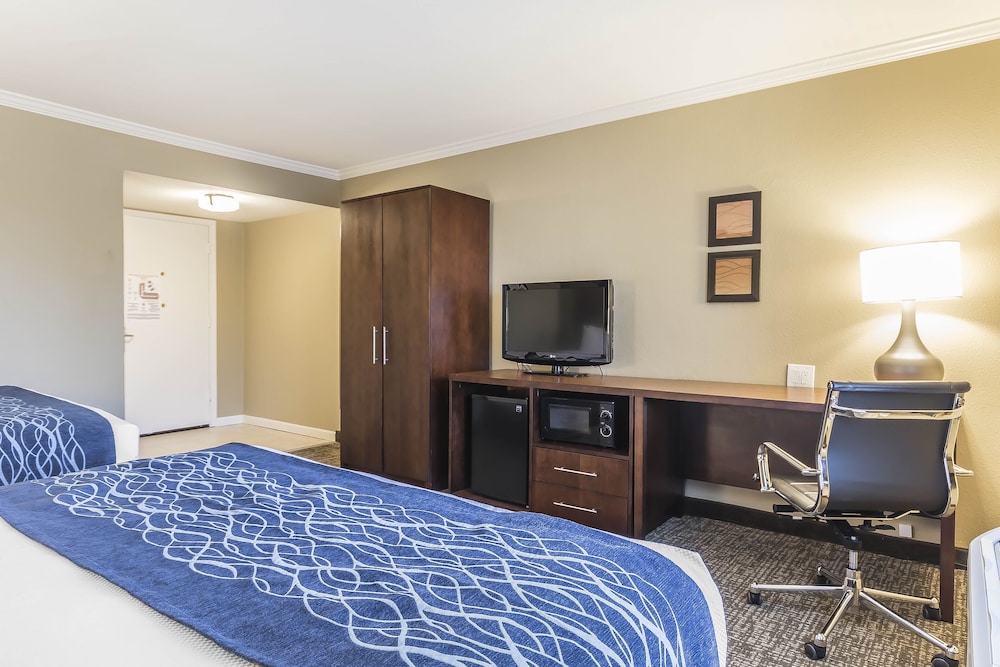 Comfort Inn Sunnyvale Silicon Valley - photo 5